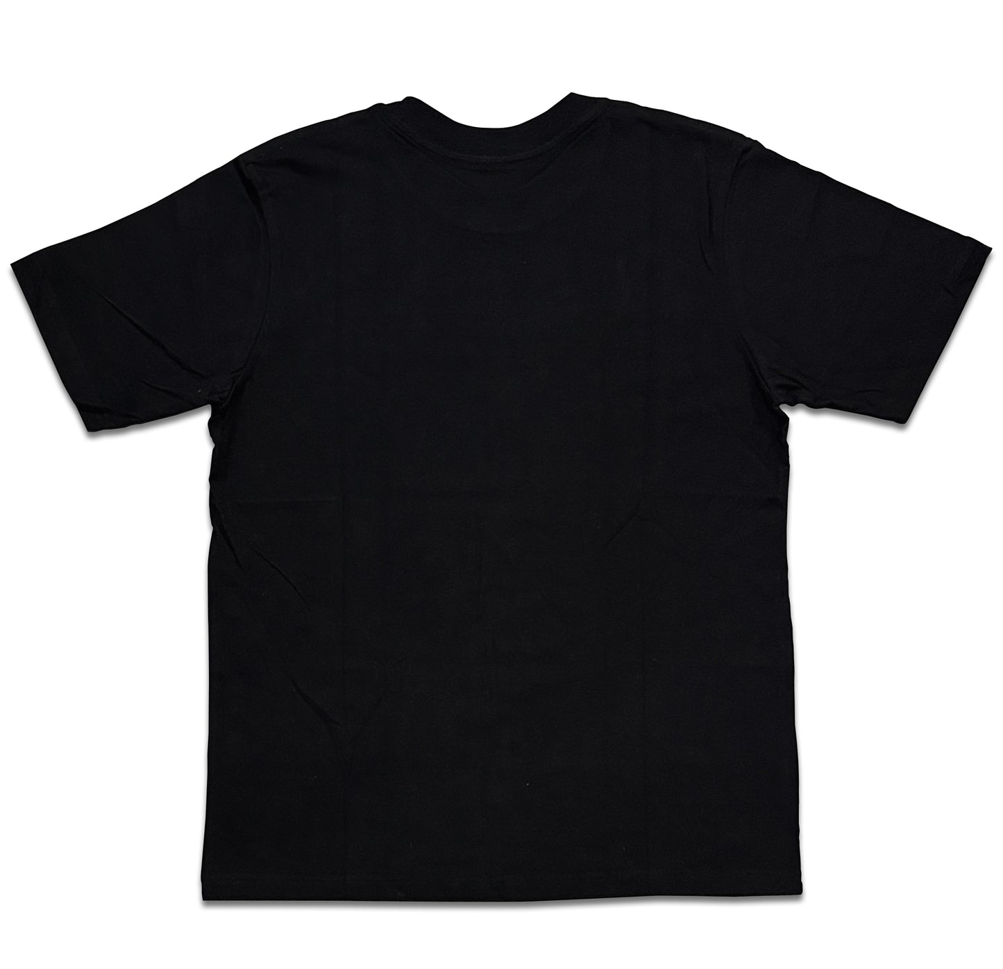 Dudli Playful Graphic Tshirts - back - oversized_fit