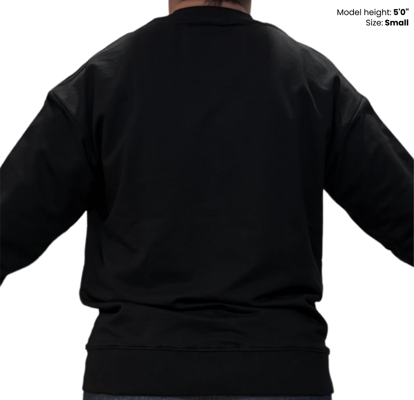 Dudli Graphic Sweatshirt - Super Dot - Nostalgia (Dot Lab) - model - back view
