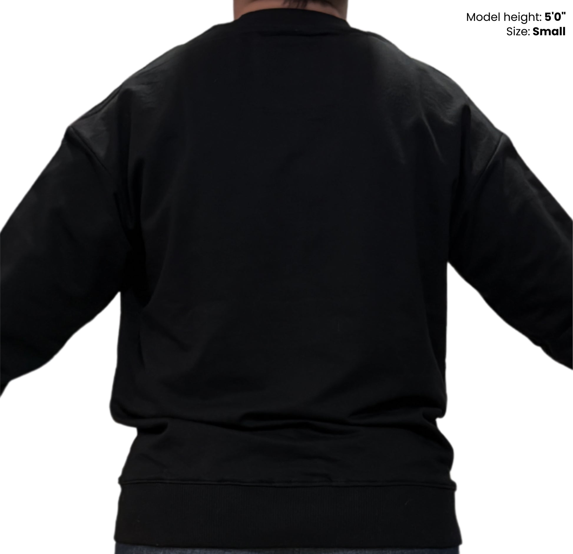 Dudli Graphic Sweatshirt - Super Dot - Nostalgia (Dot Lab) - model - back view